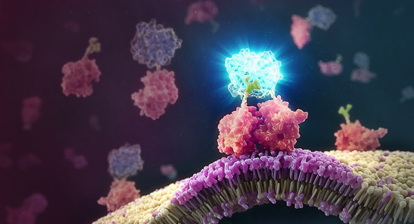 Drug discovery with cell based assays